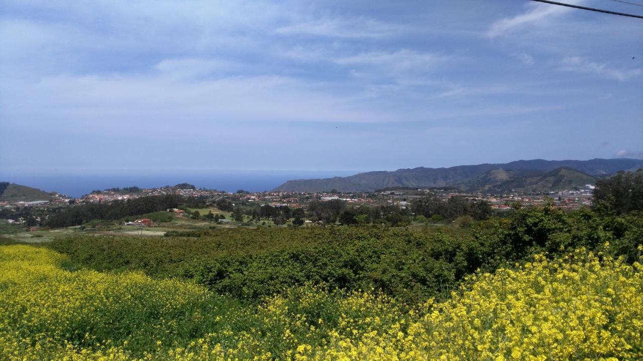 Apartamento Privado En Una Zona Tranquila Y Proxima Al Aeropuerto Tf Norte Y A La Ciudad De San Cristobal De La Laguna . Szoba fotó